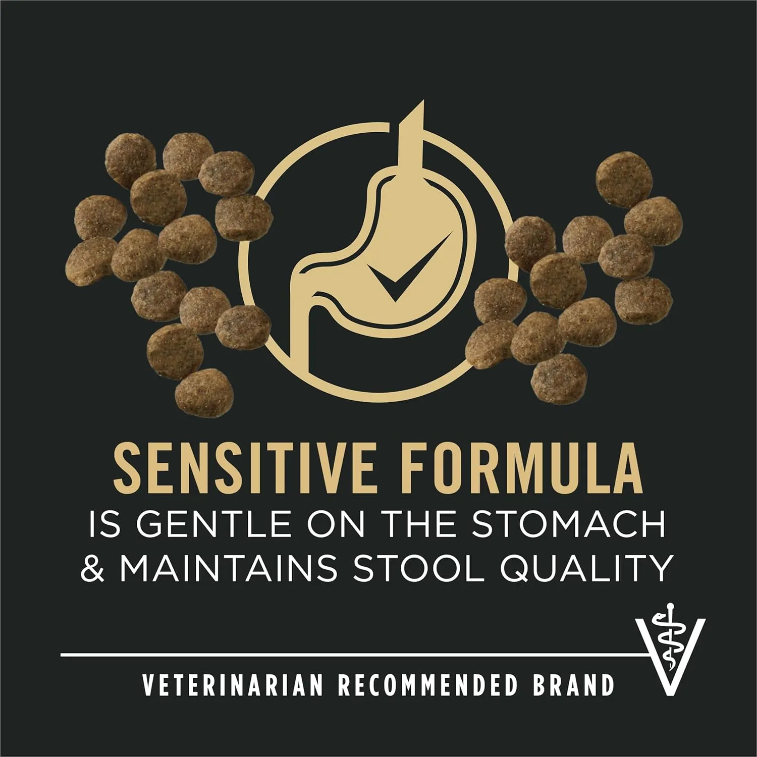 Purina Pro Plan Sensitive Skin and Stomach Large Breed Puppy Food Salmon and Rice Formula - 24 lb. Bag