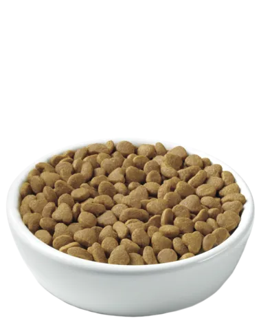 Purina Pro Plan Weight Management Chicken & Rice Formula Dry Cat Food