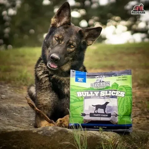 Redbarn Pet Products Natural Bully Slices Vanilla Flavor Dog Treats 9 oz