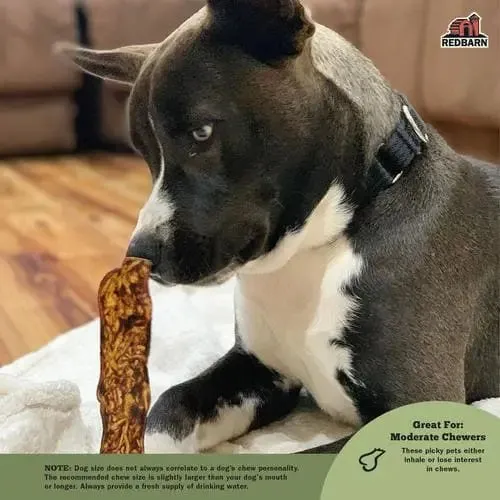 Redbarn Pet Products Natural Bully Slices Vanilla Flavor Dog Treats 9 oz